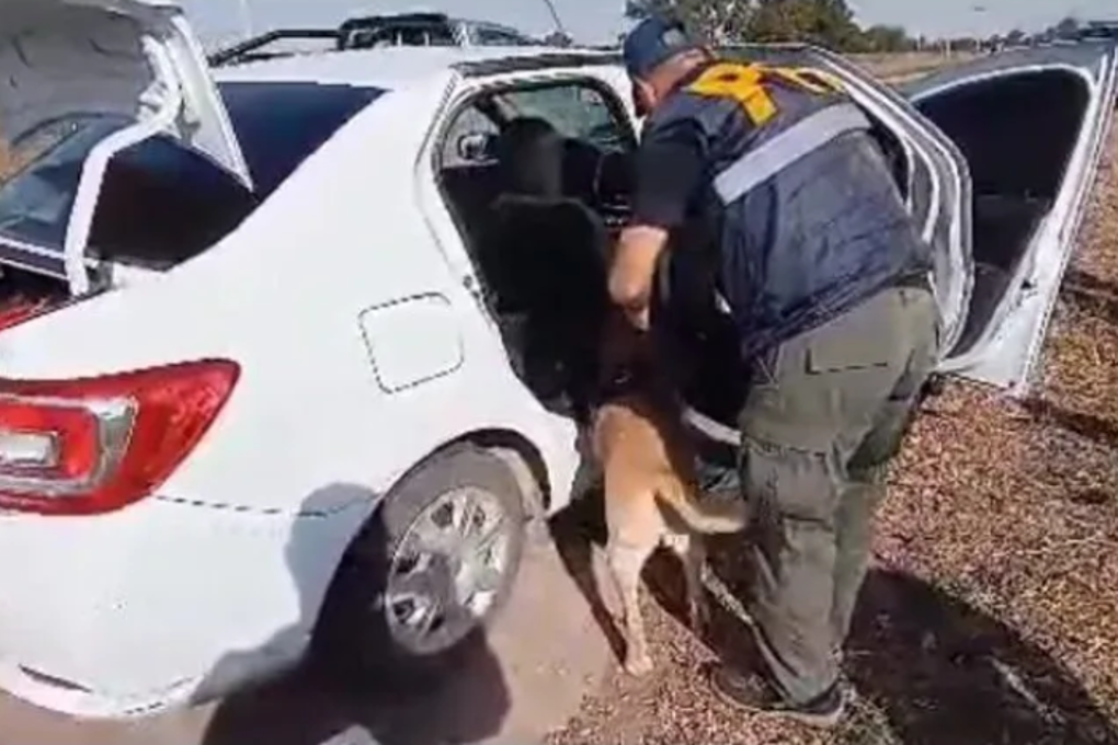 Momento del operativo en el que se encuentra la droga