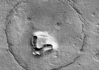 El “oso en Marte” que causó repercusión