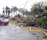 La tormenta eléctrica de la semana pasada en Santa Cruz ocasionó desastres.