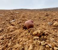 Sequía en el altiplano boliviano