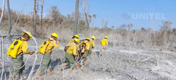 Declaran Alerta Roja Por Los Incendios Forestales En Santa Cruz