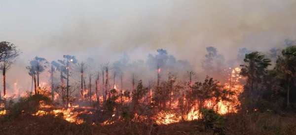 Más de  hectáreas afectadas por el fuego en San Matías y el Carmen  Rivero Torres