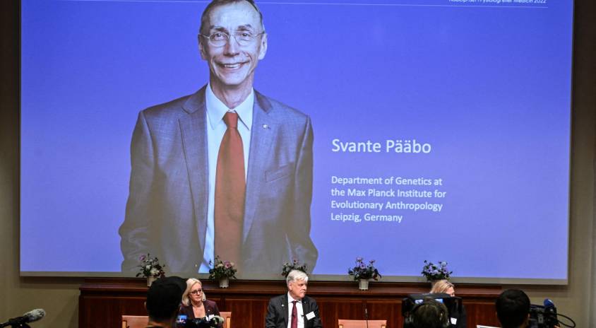 Premio Nobel de Medicina al sueco Svante Pääbo, experto en genética evolutiva