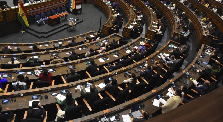 Asamblea Legislativa Plurinacional (ALP)
